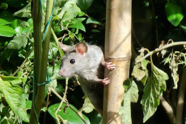 IMG-20210215-WA0000 (1)